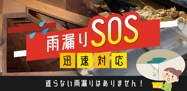 雨漏りSOS迅速対応
