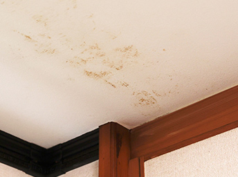 天井のシミ